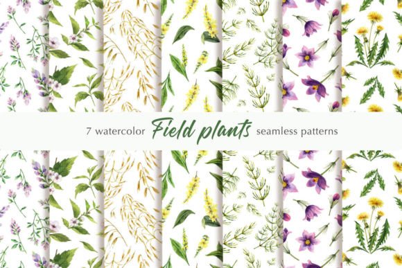 Watercolor Field Plants Patterns: A Versatile Design Element for Creative Projects